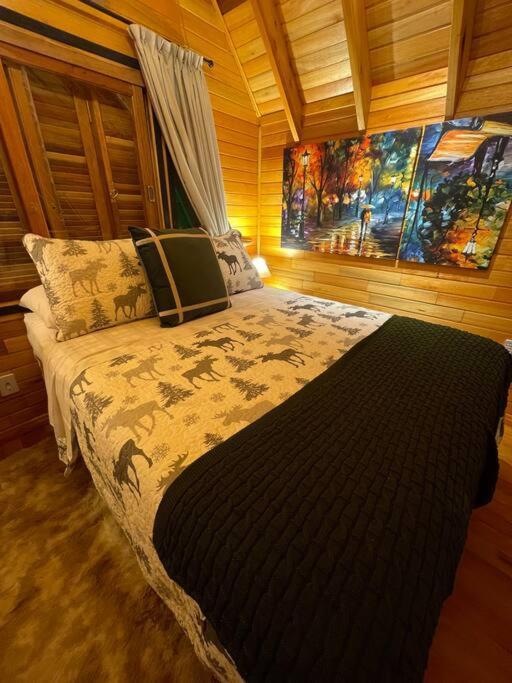 Laventure Vert - Ideal Para Relaxar São Francisco de Paula Dış mekan fotoğraf